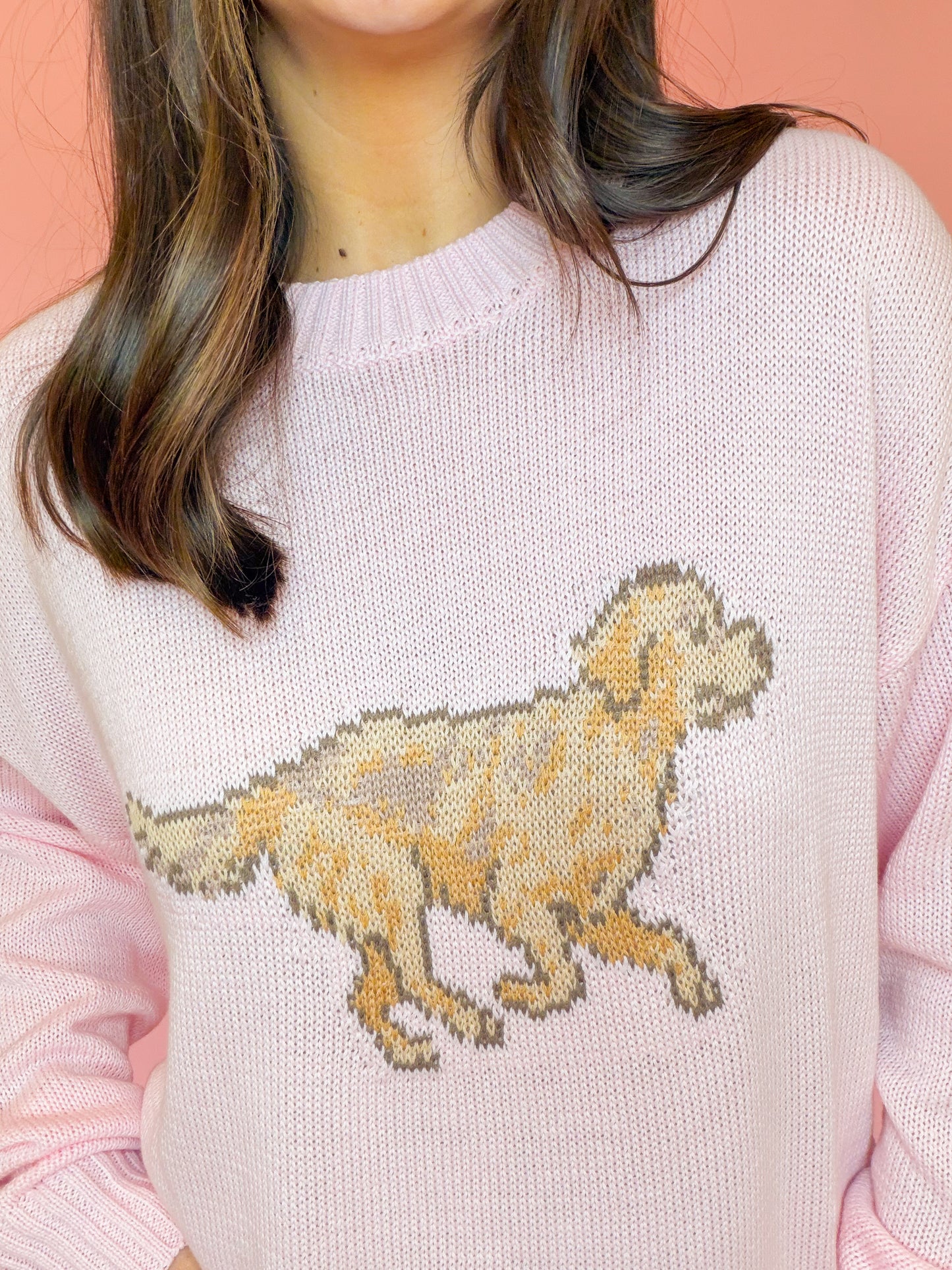 LONG SLEEVE CREW NECK RETRIEVER DOG SWEATER