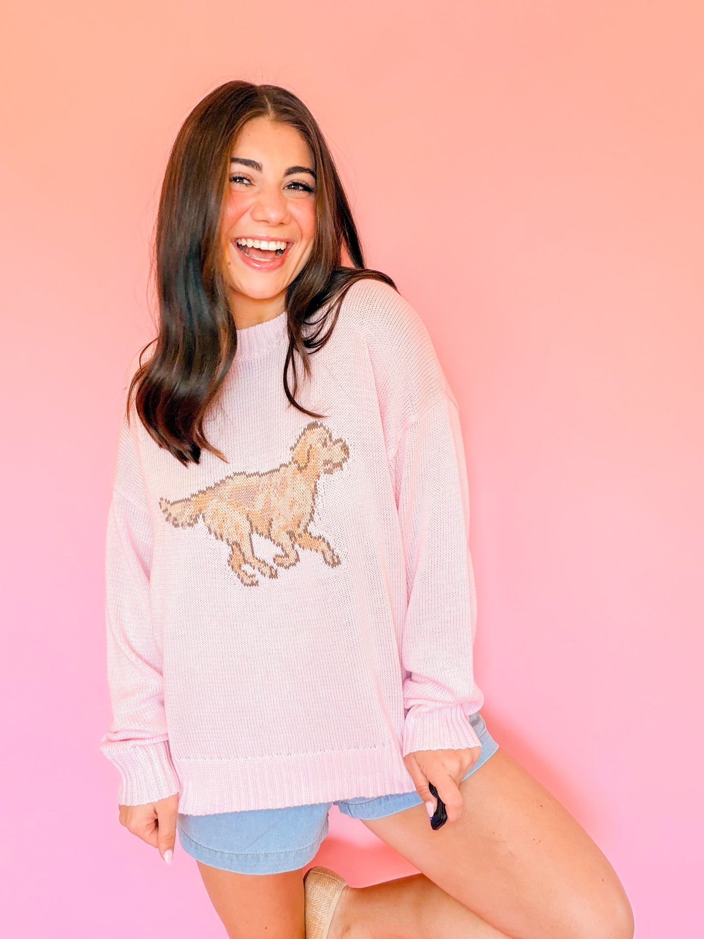LONG SLEEVE CREW NECK RETRIEVER DOG SWEATER