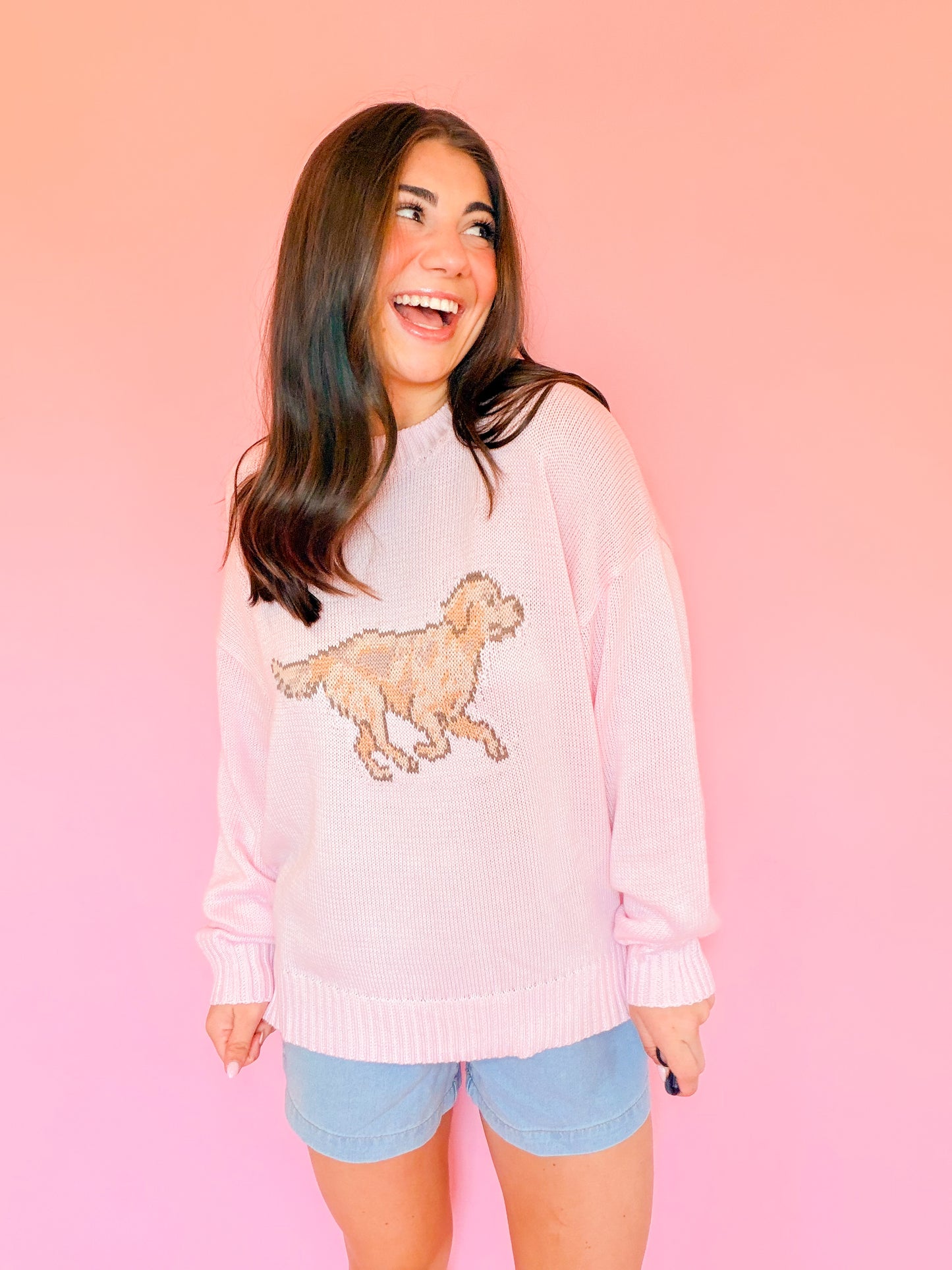 LONG SLEEVE CREW NECK RETRIEVER DOG SWEATER