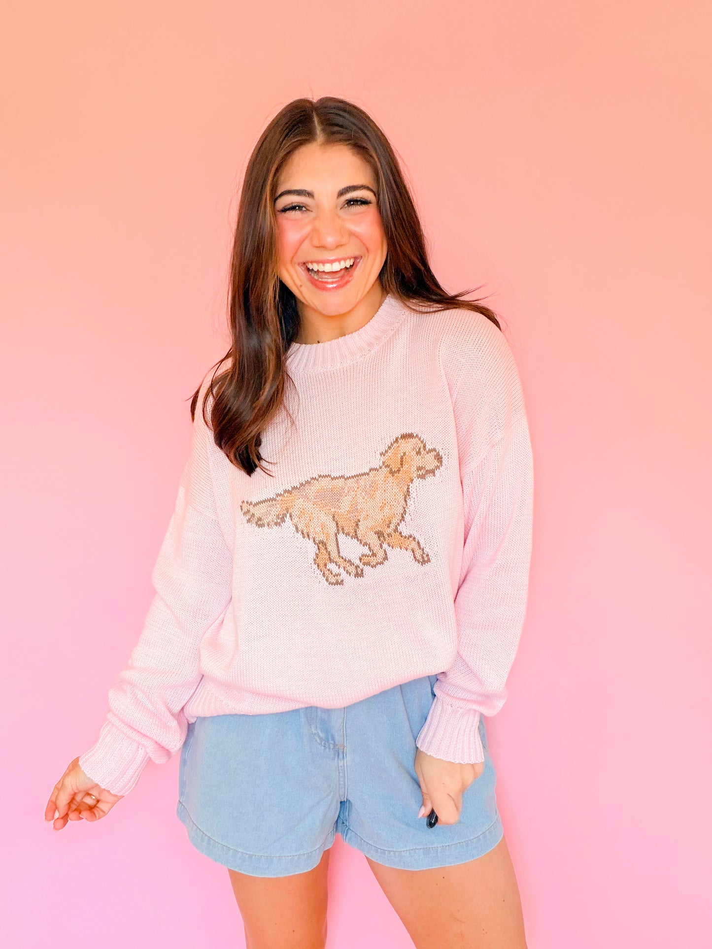 LONG SLEEVE CREW NECK RETRIEVER DOG SWEATER