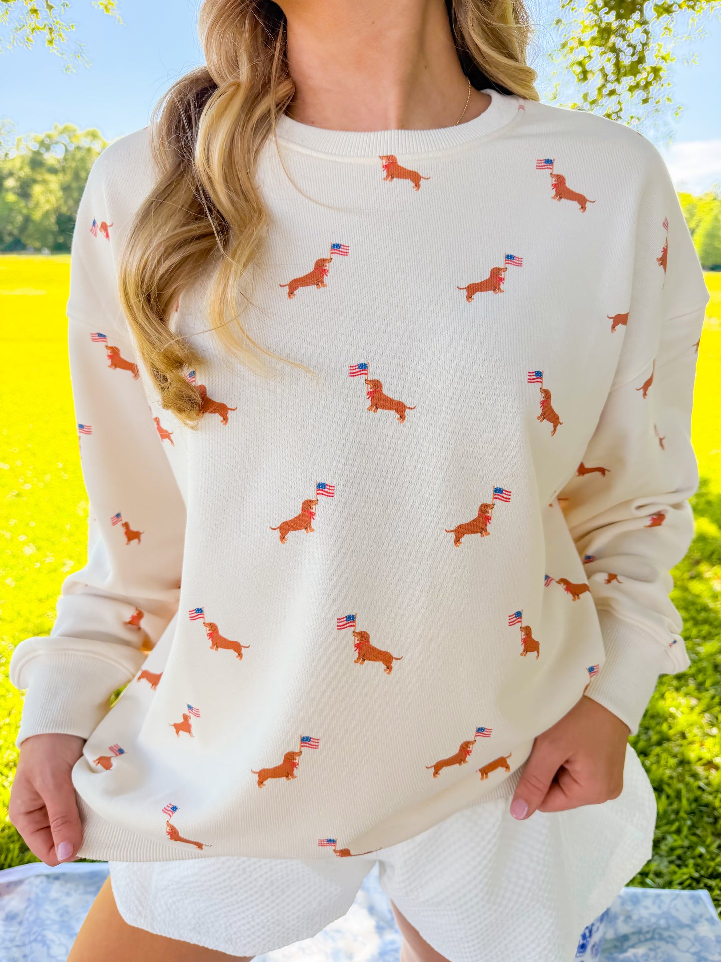 USA DOG GRAPHIC SWEATSHIRT